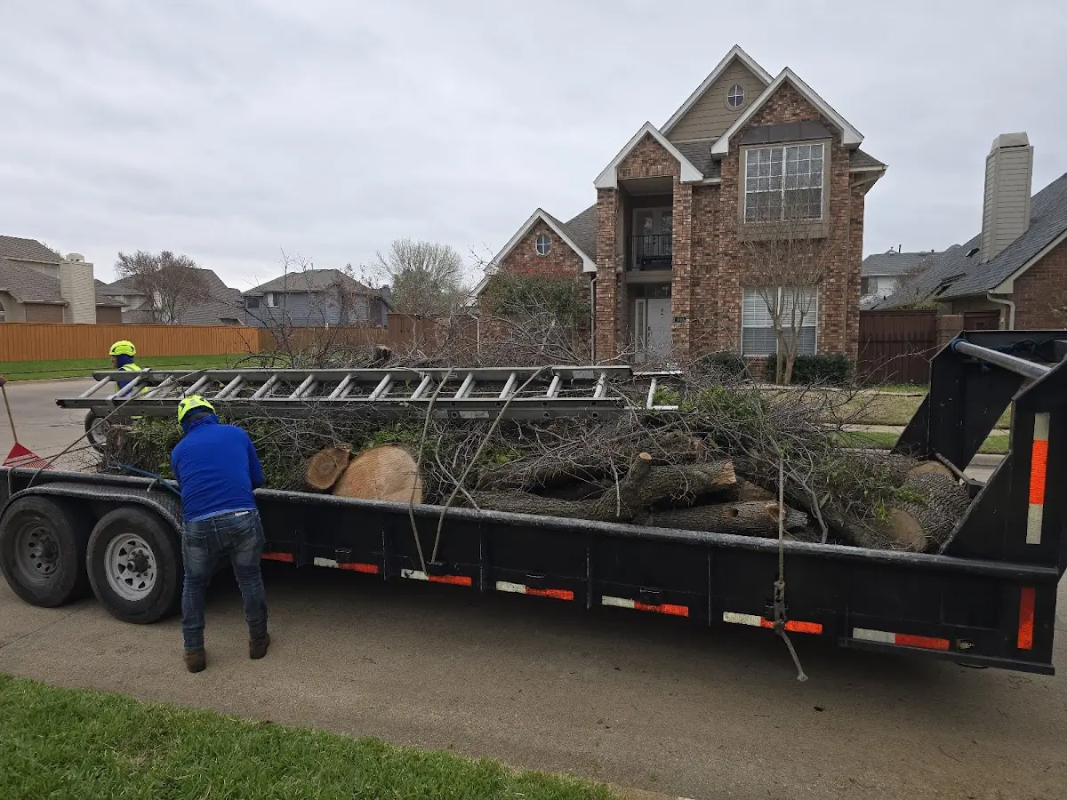 Expert Lot Clearing with proper safety equipment in Claflin